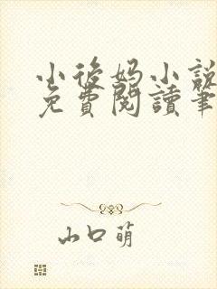 小后妈小说全文免费阅读笔趣阁