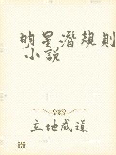 明星潜规则之皇 小说封面