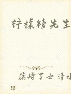 柠檬精先生封面