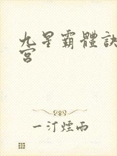 九星霸体诀无量宫封面