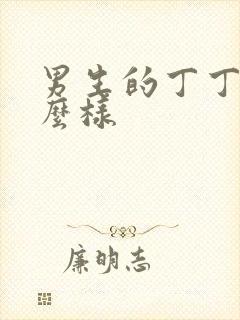 男生的丁丁长什么样