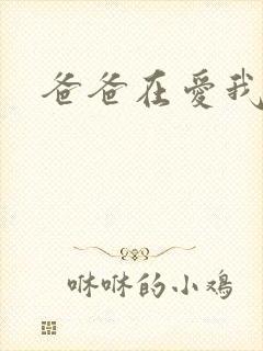 爸爸在爱我一次封面