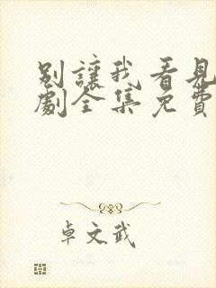 别让我看见电视剧全集免费观看