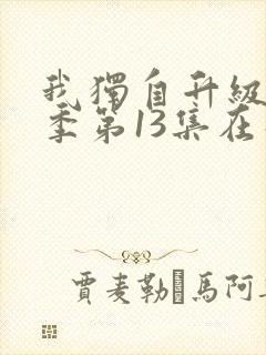 我独自升级第二季第13集在线观看