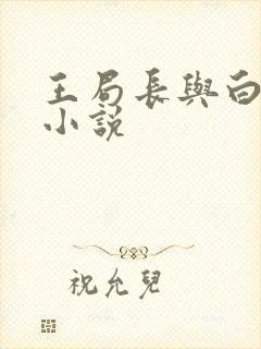王局长与白浩的小说