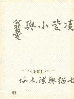 翁与小莹凌晨欢爱