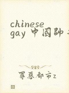 chinesegay 中国帅哥封面