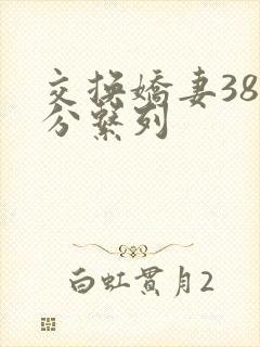 交换娇妻38部分系列封面
