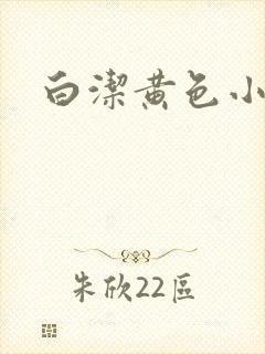 白洁黄色小说