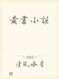黄书小说