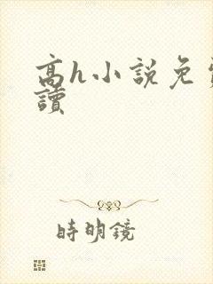 高h小说免费阅读封面