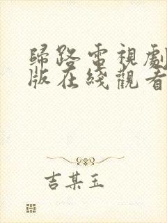 归路电视剧免费版在线观看全集归路