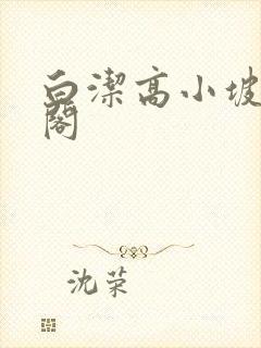 白洁高小坡笔趣阁