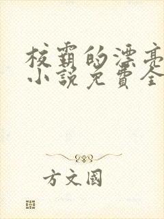 校霸的漂亮继父小说免费全文阅读