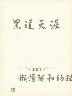 黑道天涯封面