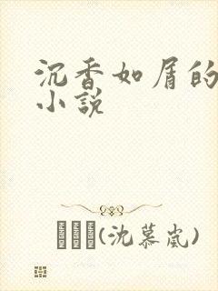 沉香如屑的原著小说封面