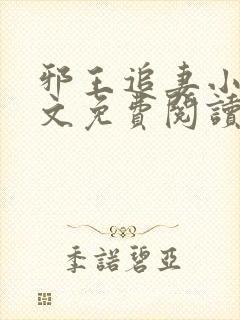 邪王追妻小说全文免费阅读全文