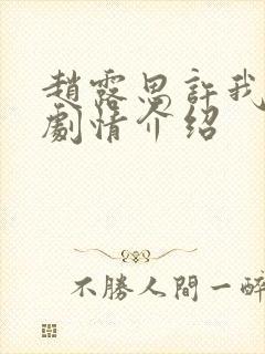 赵露思许我耀眼剧情介绍