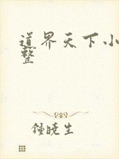 道界天下小说完整