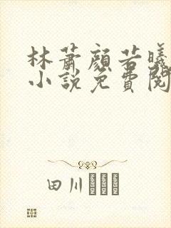 林萧颜若曦穿越小说免费阅读