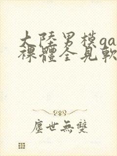 大陆男模gay裸体全见软件