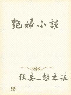 艳妇小说