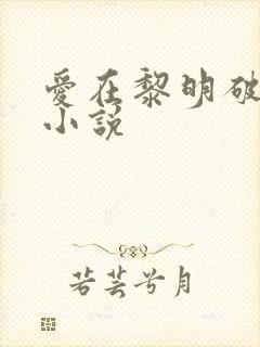 爱在黎明破晓前小说封面