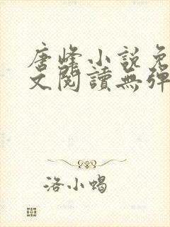 唐峰小说免费全文阅读无弹窗封面