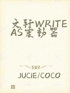 文轩WRITEAS震动器