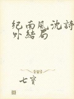 纪南风沈诗澜番外结局