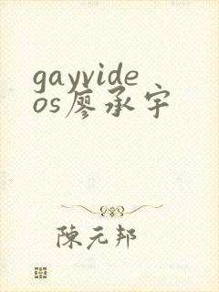 gayvideos廖承宇封面