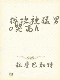 总攻被猛男cao哭高h