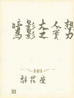 暗影大人想要成为影之实力者游戏