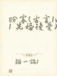 盼寡(古言1v1 先婚后爱)