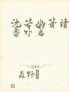 沈若幽萧靖和离番外篇