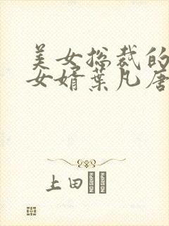 美女总裁的上门女婿叶凡唐若雪