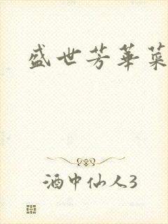 盛世芳华菜谱封面