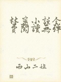 林宁小说全文免费阅读无弹窗