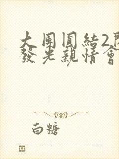 大团圆结2闪闪发光亲情会