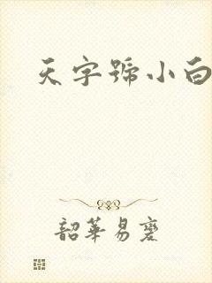 天字号小白脸