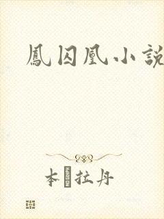 凤囚凰小说封面