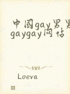 中国gay男男gaygay网站