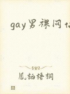 gay男裸网站