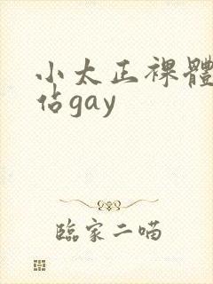 小太正裸体黄网站gay