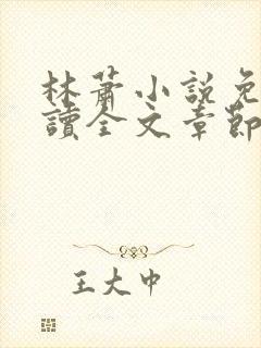 林萧小说免费阅读全文章节封面