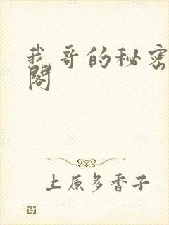 我哥的秘密笔趣阁