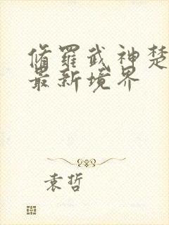 修罗武神楚枫的最新境界