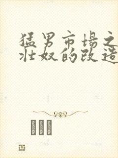 猛男市场之肌肉壮奴的改造封面