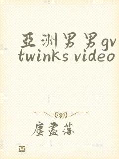 亚洲男男gv twinks video封面