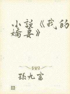 小说《我的极品娇妻》封面